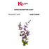 Sage Flower